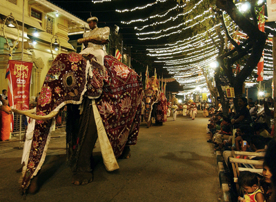 仏教祭典「ナワン・ペラヘラ」執り行われる - スリランカ