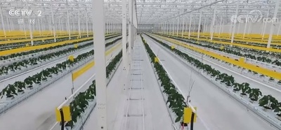 スマート化した上海の「無人管理」農場