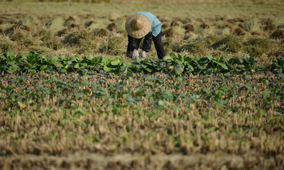 中国でベトナム人花嫁100人以上が集団失踪