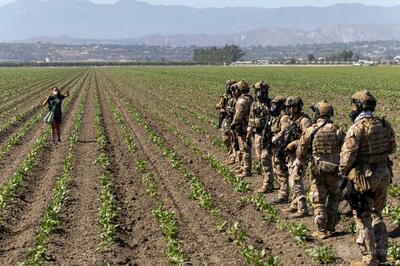 米加州の農場で不法移民摘発、労働者1人が重体