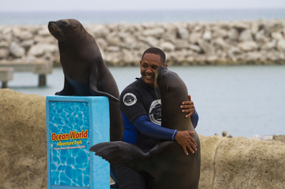 サメを抱いてはい、チーズ！ドミニカ共和国の水族館