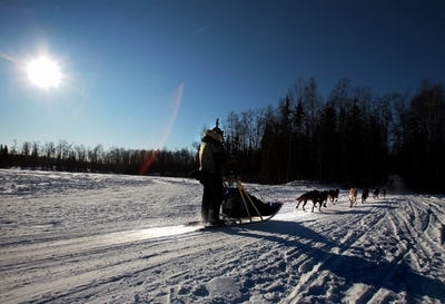 永久凍土の融解は長期的脅威、CO2排出量は10億トン