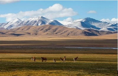 パンダや熱帯雨林、生態系を保護 中国が国家公園の第1陣を発表