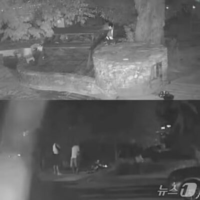 「犬を狙いBB弾を乱射」20代男らの残虐さ…韓国・現役軍人も加担した深夜の飲食店侵入