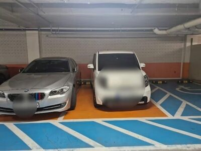 「軽は軽専用スペースに停めろ」…韓国・外車ドライバーの上から目線に「ムッ」と