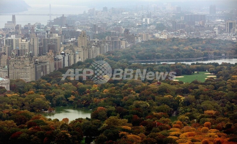 米nyのセントラルパークに著名投資家が80億円寄付 写真3枚 国際ニュース Afpbb News