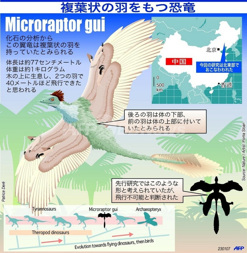 複葉状の羽をもつ翼竜発見か - 米国