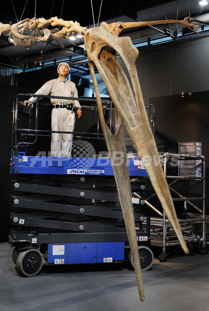 世界最大の翼竜の復元骨格、日本科学未来館に登場