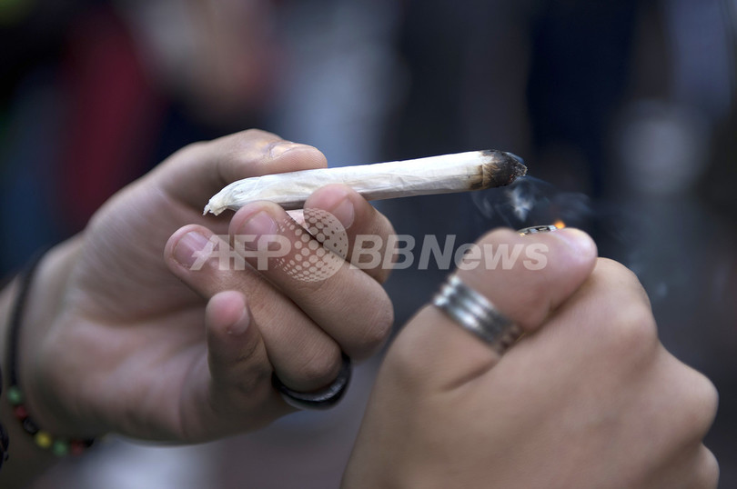 ウルグアイの大麻合法化は「国際法違反」、国連機関が非難 ウルグアイの大麻合法化は「国際法違反」、国連機関が非難
