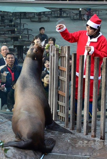 動物たちにもプレゼント 上野動物園 写真10枚 国際ニュース Afpbb News