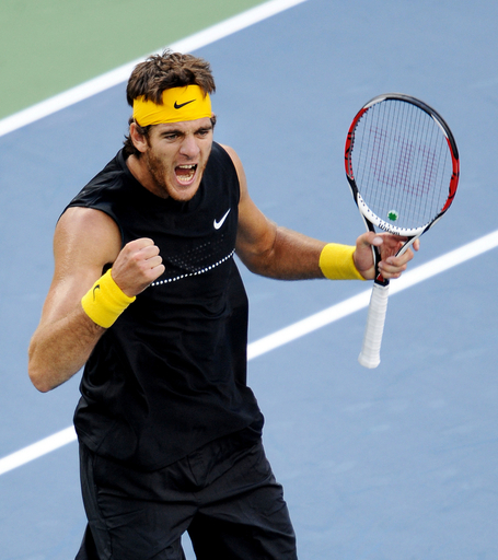デルポトロ フェデラーを下し初優勝、全米オープンテニス 写真30枚