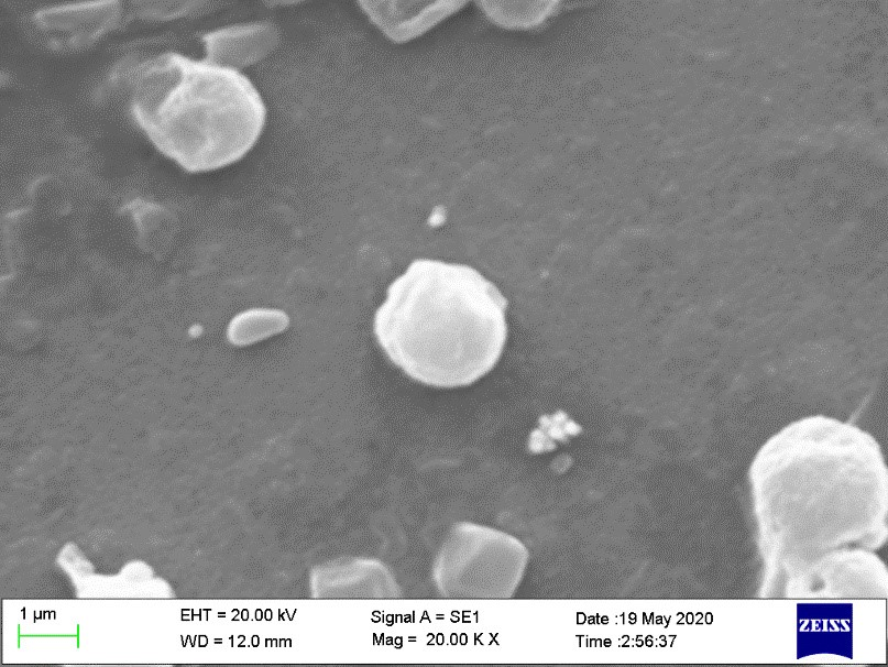 中国の科学者、豊富な油脂を生む微細藻類の全ゲノム配列を解析 中国の科学者、豊富な油脂を生む微細藻類の全ゲノム配列を解析