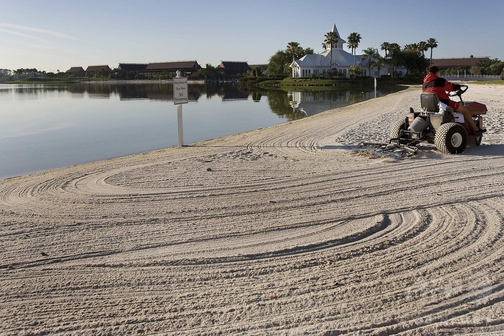 米ディズニーホテルでワニ襲撃 2歳男児が行方不明 写真2枚 国際ニュース Afpbb News