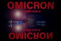 「オミクロン」と表示されたスクリーンの前に置かれた注射器（2021年12月1日撮影、資料写真）。(c)Lionel BONAVENTURE / AFP