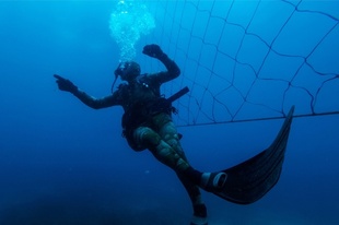 ビーチを守るサメよけネット、海洋生物の脅威に 南アフリカ