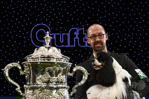 最高賞はアメリカン・コッカー・スパニエル、英ドッグショー「クラフツ