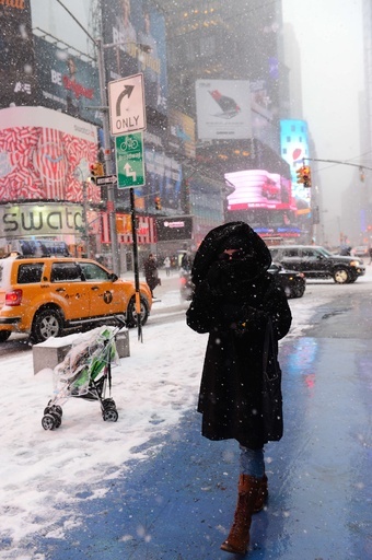 米北東部に吹雪、政府機関など閉鎖