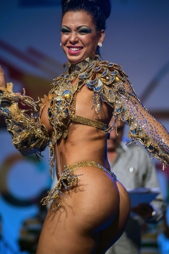 2014年のリオのカーニバル、クイーンとキング・モモが決定