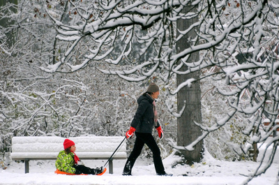 両親の険悪な離別、子どもの健康に長期の悪影響か 米研究