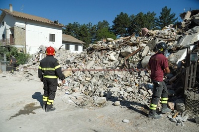 地震発生から16日、がれきから猫2匹を救出 イタリア