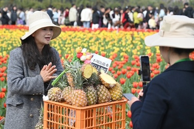中国消費者協会:食品とライブコマースのサービスに対する満足度が最低
