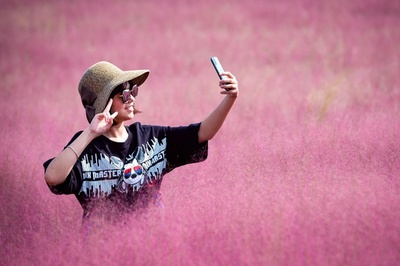 ピンクに染まる田園、ミューリーグラスが見ごろ 中国・江蘇省