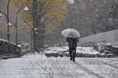 東京都心で初雪、11月としては54年ぶり