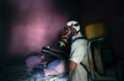 蚊には蚊を…蚊媒介感染症にバイオ技術で対抗