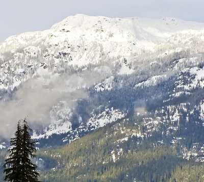 カナダ・ブリティッシュコロンビア州、森林火災で非常事態宣言