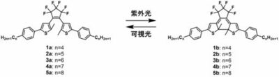 【山梨大学・立教大学】光を当てると柔軟性が変わり、傷も消える結晶を開発～自己修復する有機結晶の開発に成功～