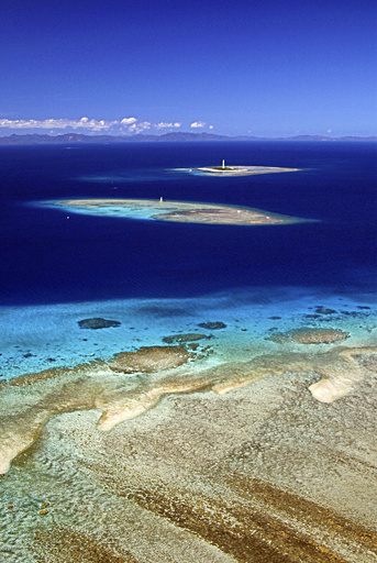 日本人移民の功績、120年経てついに認められる ニューカレドニア