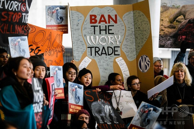 香港、象牙取引を2021年までに全面禁止 議会で可決