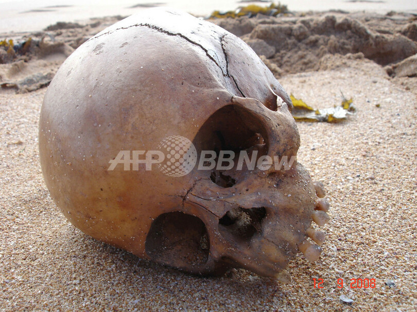 一体どこから？シドニーに打ち上げられた700年前の頭がい骨