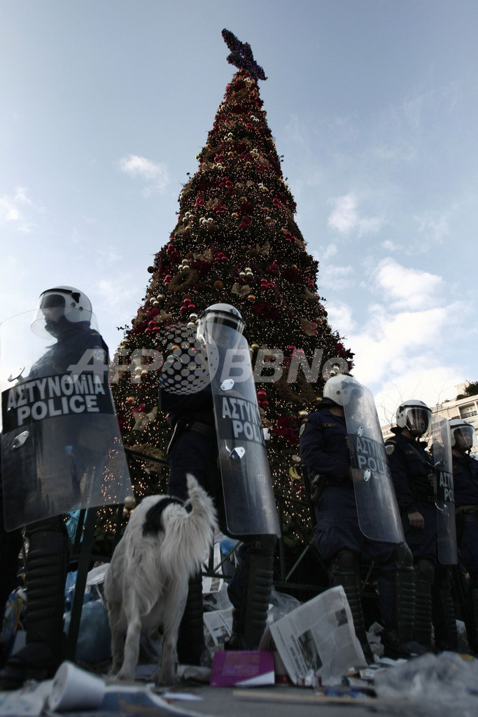 暴動ギリシャで警官隊がクリスマスツリーを警護 写真7枚 国際ニュース Afpbb News