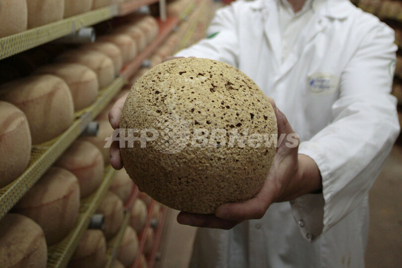 米国当局に「汚名」を着せられたチーズたち、フランス