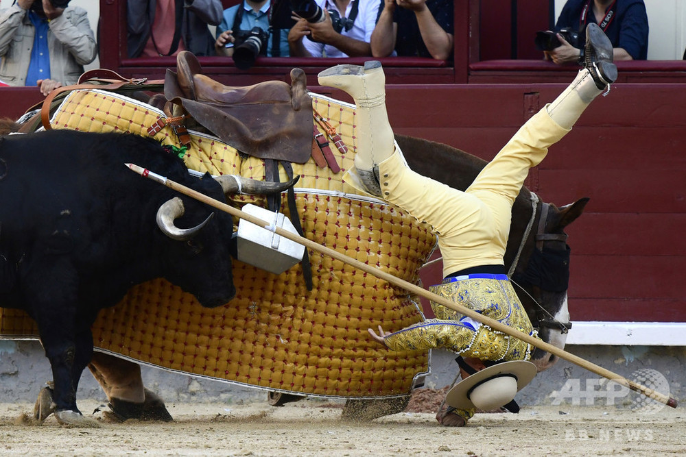 今日の1枚】「儀式」──牛との真剣勝負 写真1枚 国際ニュース：AFPBB News