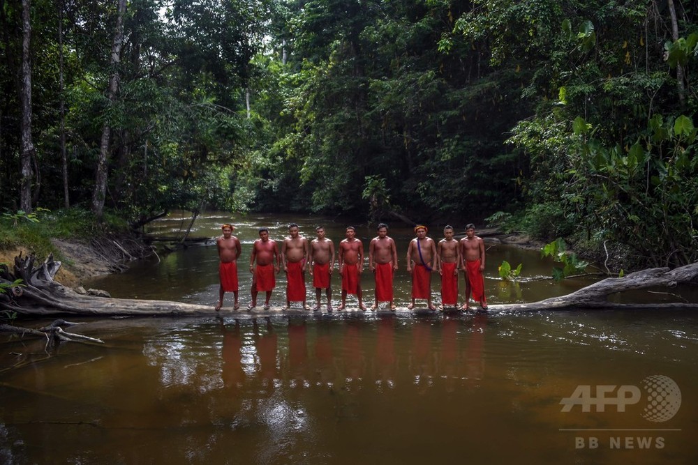 白人がもたらした死の伝染病はしか 生き延びたアマゾン先住民の新たな戦い 写真11枚 国際ニュース Afpbb News