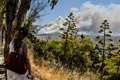 アテネ上空に流れ込む山火事の煙を見つめる女性（2015年7月17日撮影）。(c)AFP/ANDREAS SOLARO