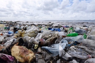 プラスチック、劣化で温室効果ガス放出 米研究