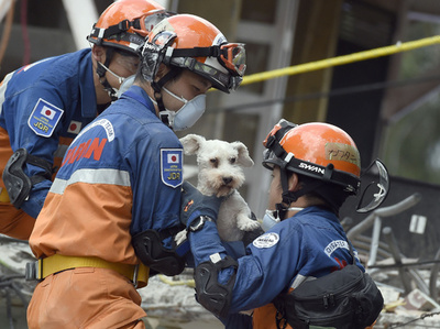 メキシコ地震、日本の救助隊が犬を救出 発生から5日ぶり