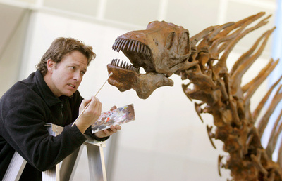 3億年前の「陸生草食動物の最古の祖先」の化石を発見、国際研究