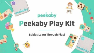 東南アジア最大の電子商取引プラットホームに入店したK育児スタートアップ – KOREA WAVE