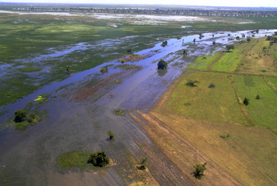 洪水広がるアフリカ、コレラまん延の恐れも