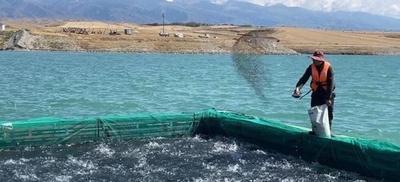 海から最も遠い新疆で水産物の養殖を 中国