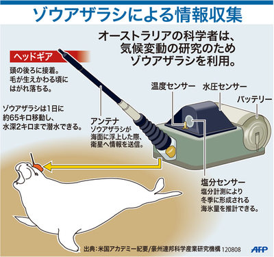 【図解】気候変動研究のためのゾウアザラシによる情報収集