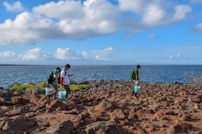 ガラパゴス諸島、外来種のネズミ駆除にドローンを初導入
