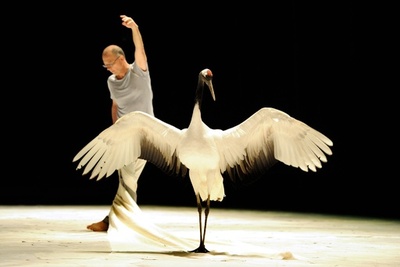 舞台でタンチョウと共演、パリでリハーサル