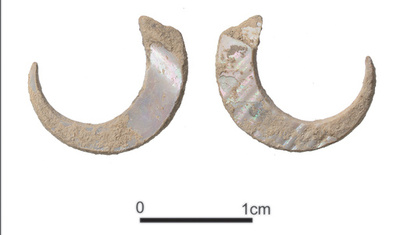 世界最古2万3000年前の釣り針、沖縄のサキタリ洞遺跡