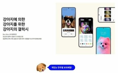 韓国で「子犬用ギャラクシー」発売…はエイプリルフール作品だった