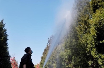 北京市 春の花粉アレルギーに対応するために多くの措置